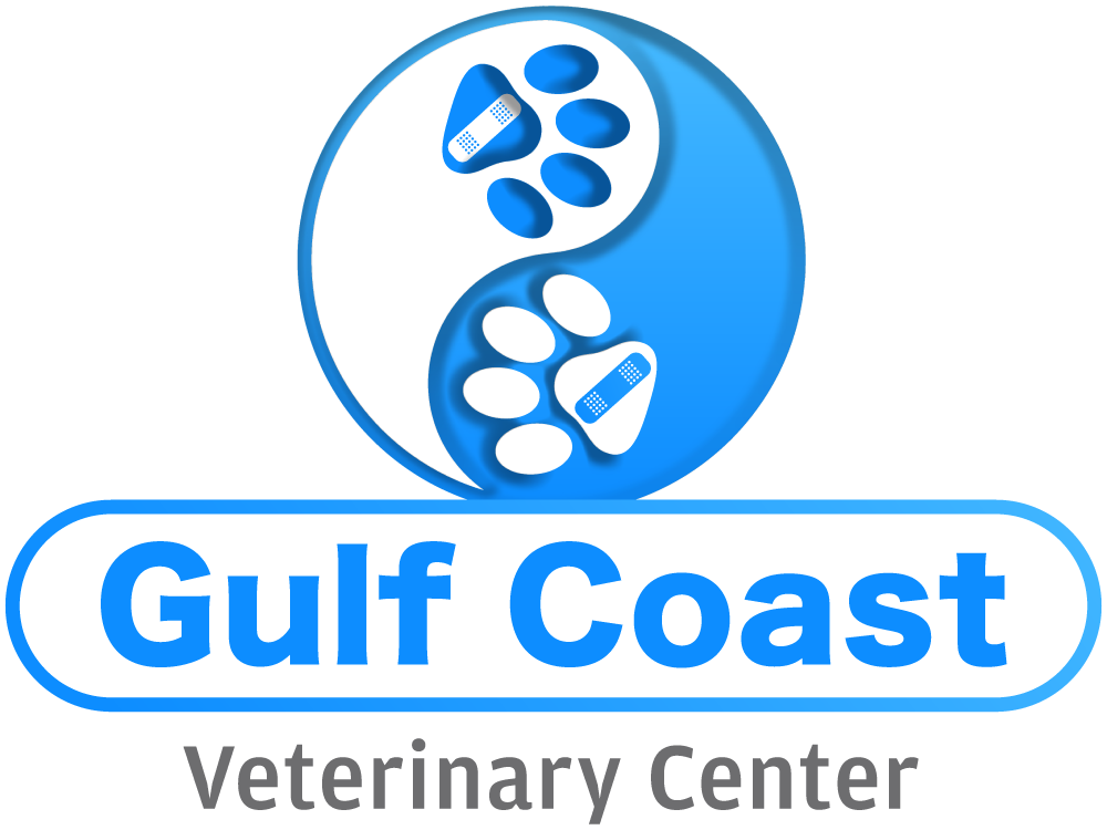 Gulf Coast Veterinary Center Home
